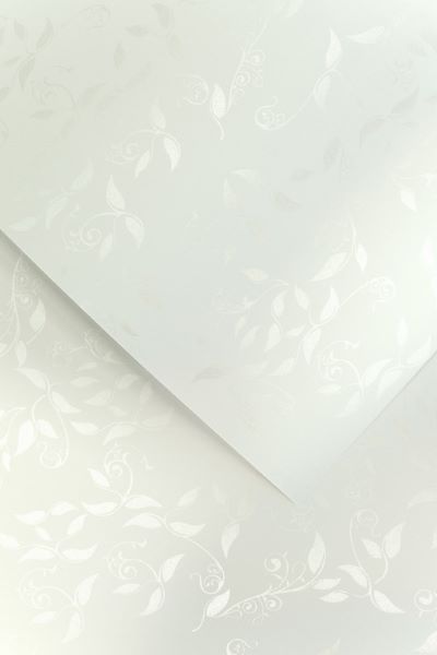 Papier ozdobny A4 50szt. Liana biały Argo 100g