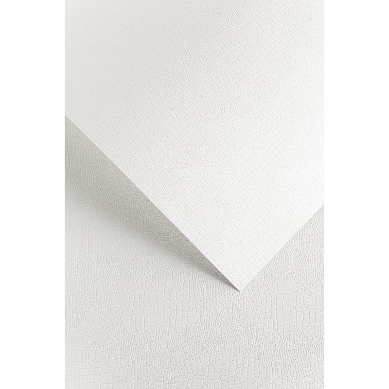 Papier wizytówkowy A4 Borneo biały 20szt. 220g. Argo