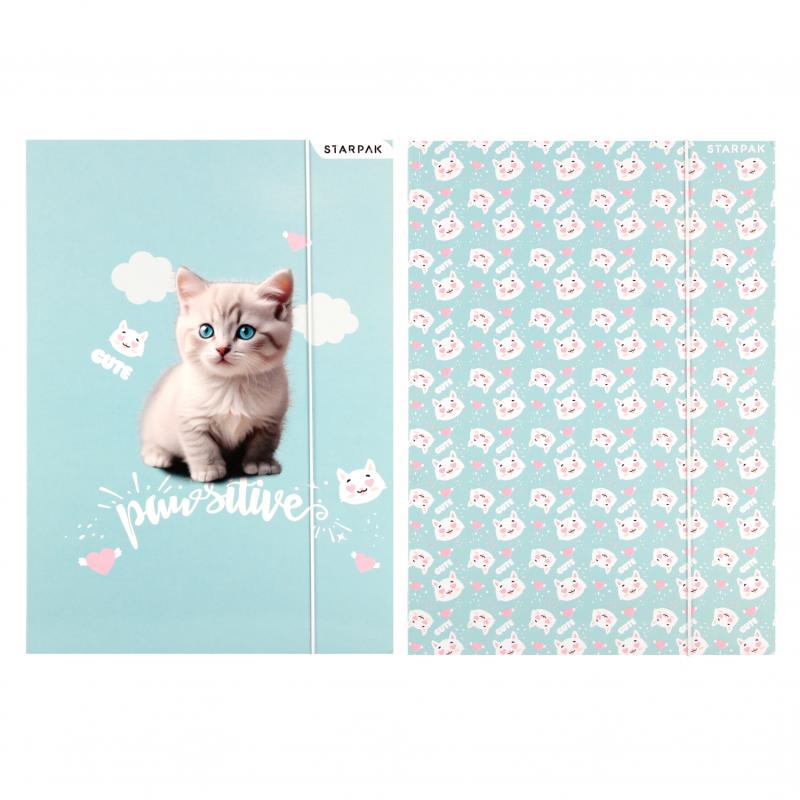 Teczka A4 z gumką Kitty 553545 Starpak