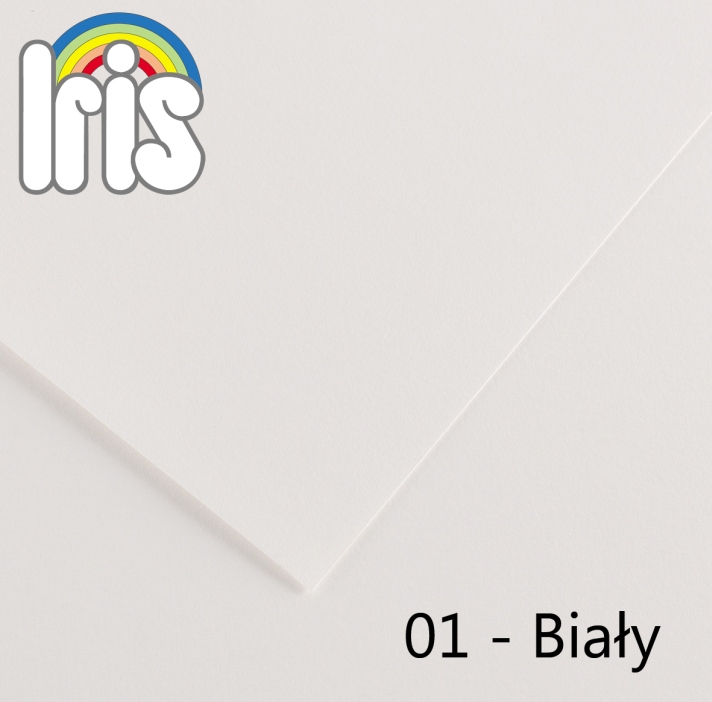 Karton 70x100 235/240g biały Canson