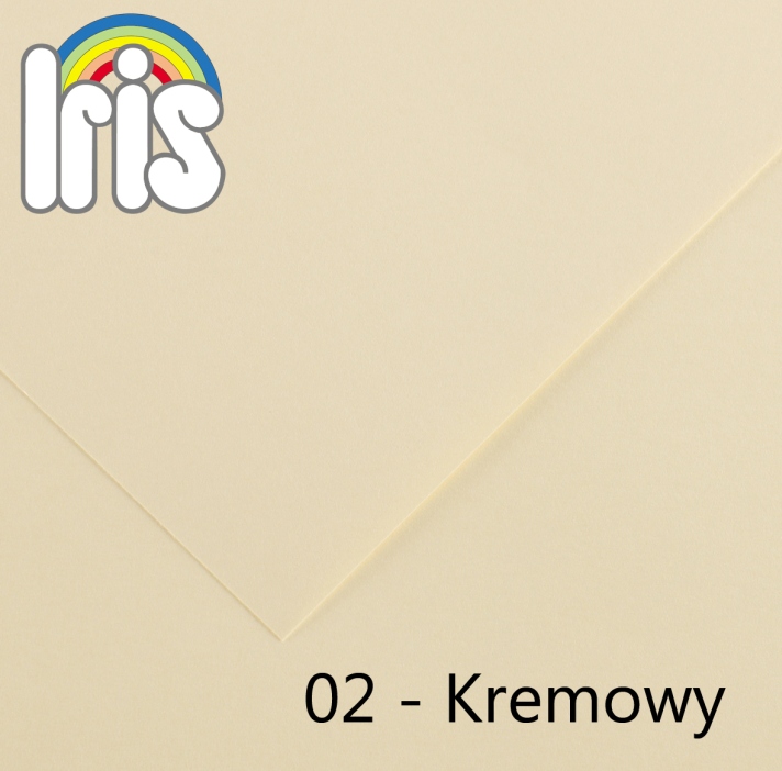 Karton 70x100 235/240g kremowy Canson