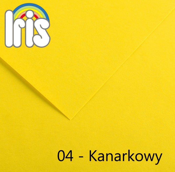 Karton 70x100 235/240g Canson żółty