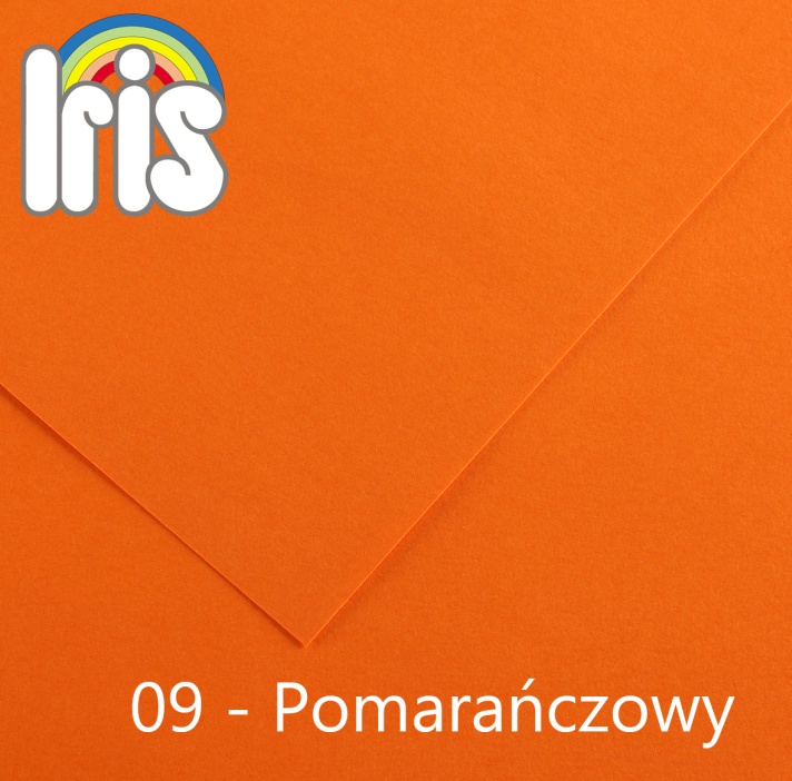 Karton 70x100 235/240g pomarańczowy Canson