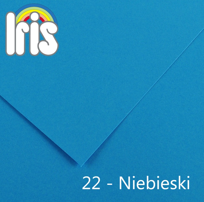 Karton 70x100 235/240g niebieski Canson
