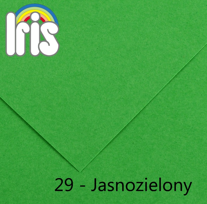 Karton 70x100 240g 25ark. jasnozielony Canson