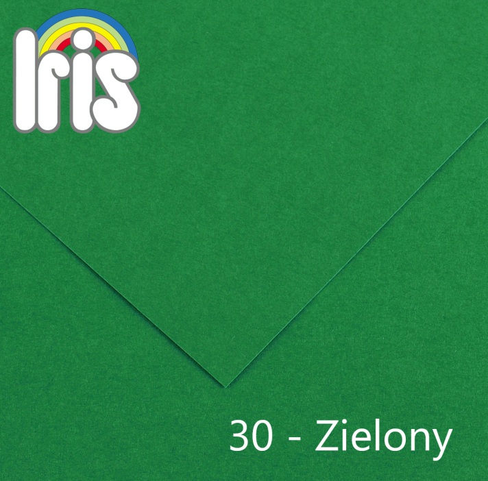 Karton 70x100 235/240g zielony Canson