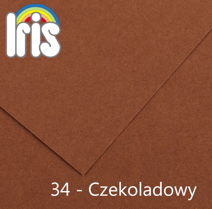 Karton 70x100 235/240g czekoladowy Canson