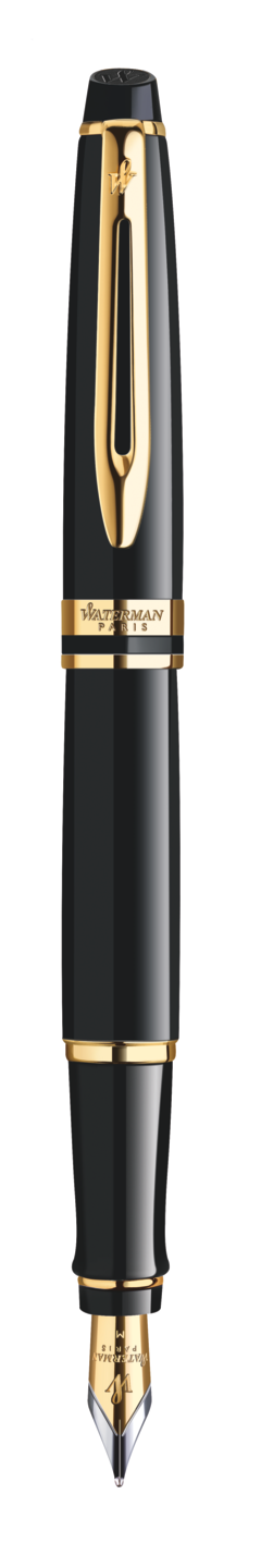 Pióro wieczne Waterman Expert czarny GT (F)
