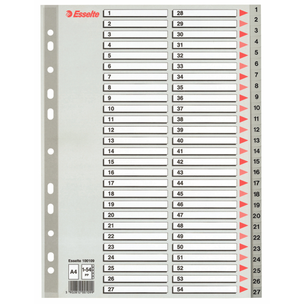 Przekładki numeryczne Esselte  A4/1-54 PP szare