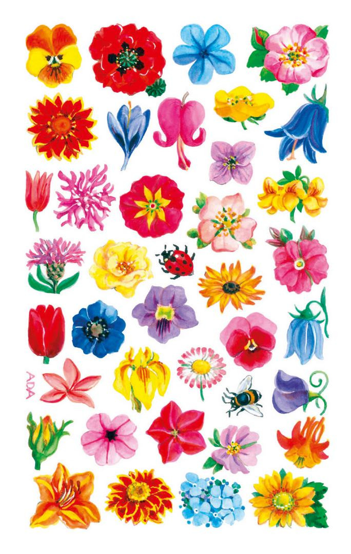 Naklejki Z-Design Creative kwiatki 54304 Avery