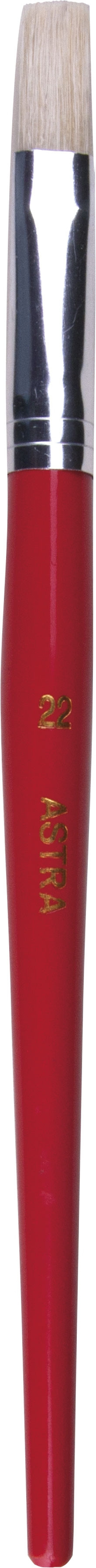 Pędzel płaski Astra nr 22 315107011