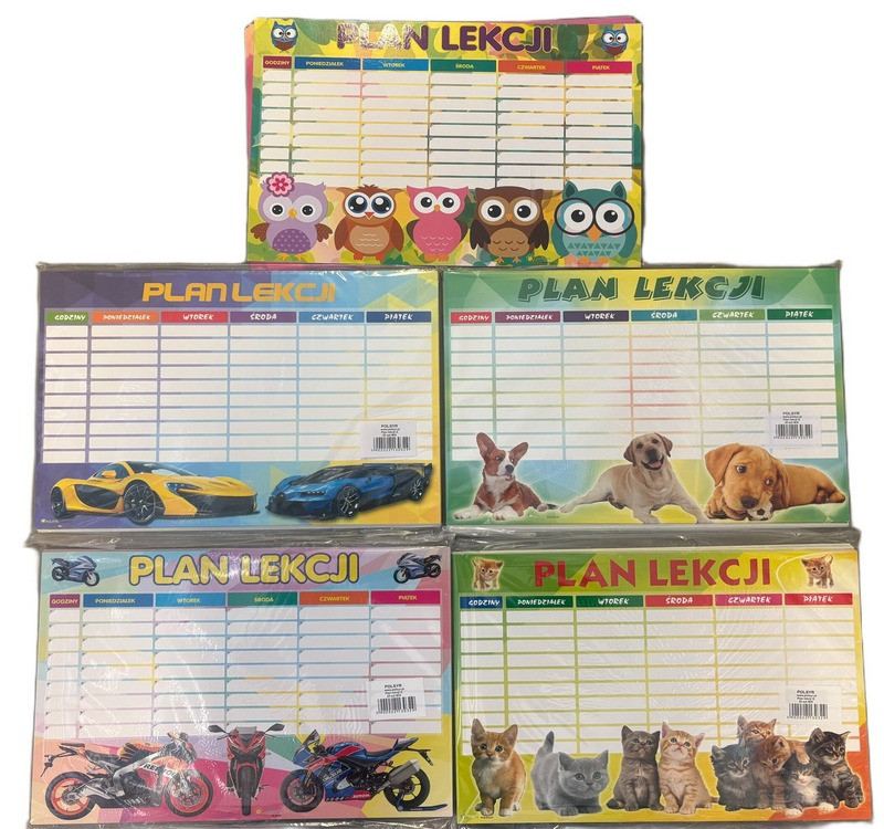 Plan lekcji  A4 (1szt.) Polsyr D