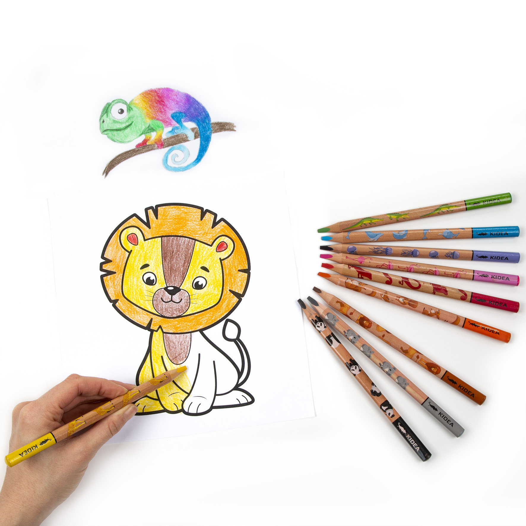 Kredki trójkątne Jumbo Safari 10 kolorów Kidea
