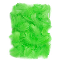 Piórka 10g 5-12cm Zielone CEPI-014 Dalprint